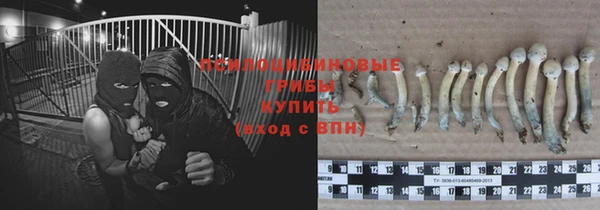 эйфоретик Алексеевка
