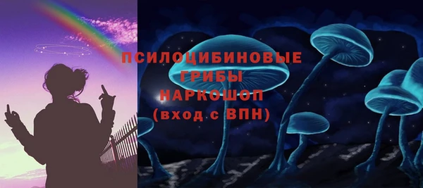 apvp Алзамай