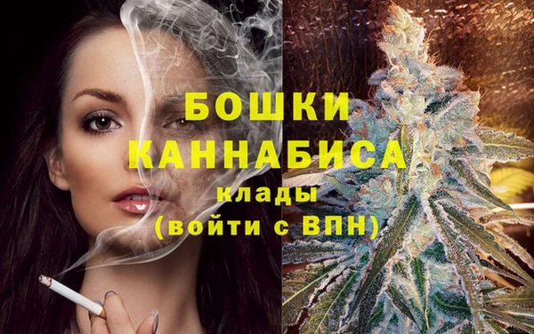 сатива Алексин